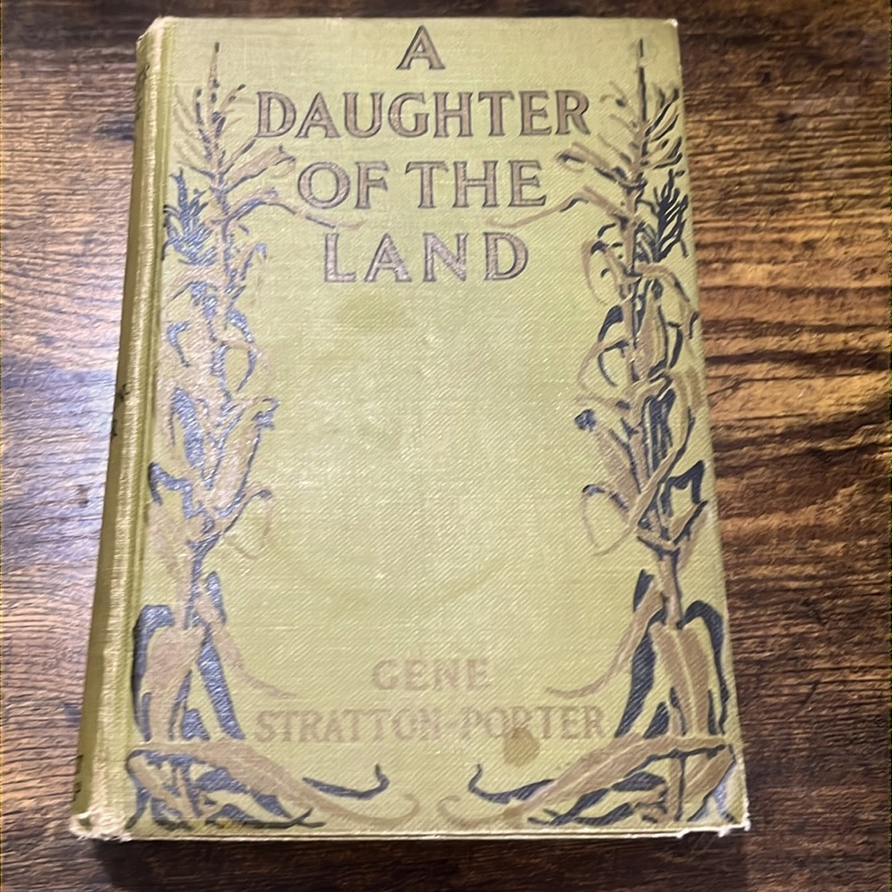 ANTIQUE BOOK A Daughter of the Land by Gene Stratton-Porter